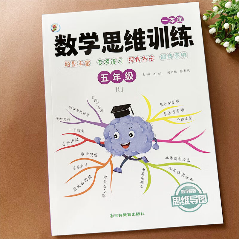 小学生五年级数学思维训练小数乘法口算心算速算专项练习逻辑锻炼 数学思维训练【五年级】