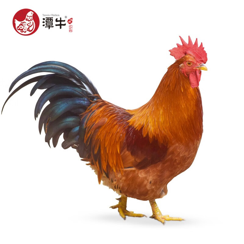 如何查看京东鸡肉历史价格|鸡肉价格走势