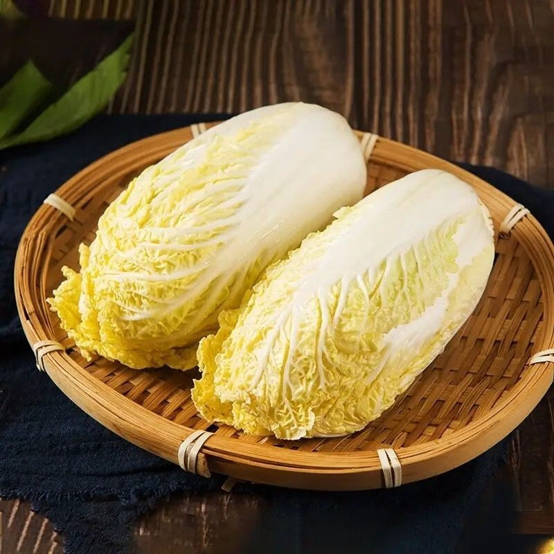 白衣鲜人 山东黄心娃娃菜9斤 小白菜包心菜新鲜现摘农家自种火锅食材
