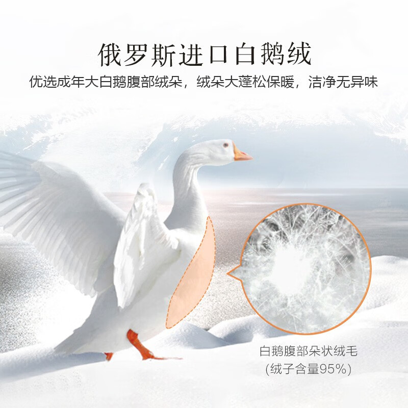 安睡宝（SOMERELLE）羽绒被95%俄罗斯进口大朵白鹅绒被子春秋被冬被抗菌被芯鹅绒被 俄罗斯进口95%大朵白鹅绒立体锁暖-冬被 【抗菌面料】 【220*240cm-抗菌抗菌保暖】