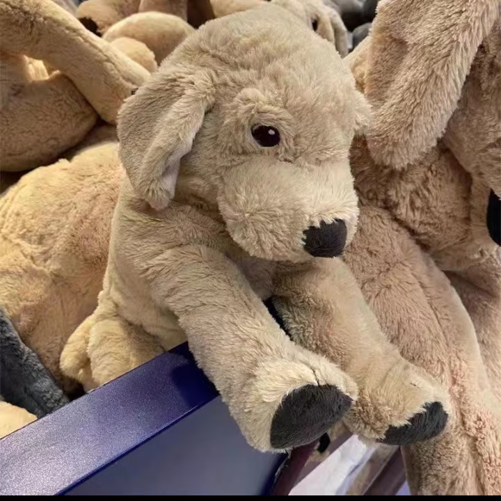 小狗40厘米不能张嘴 宜家支持验货