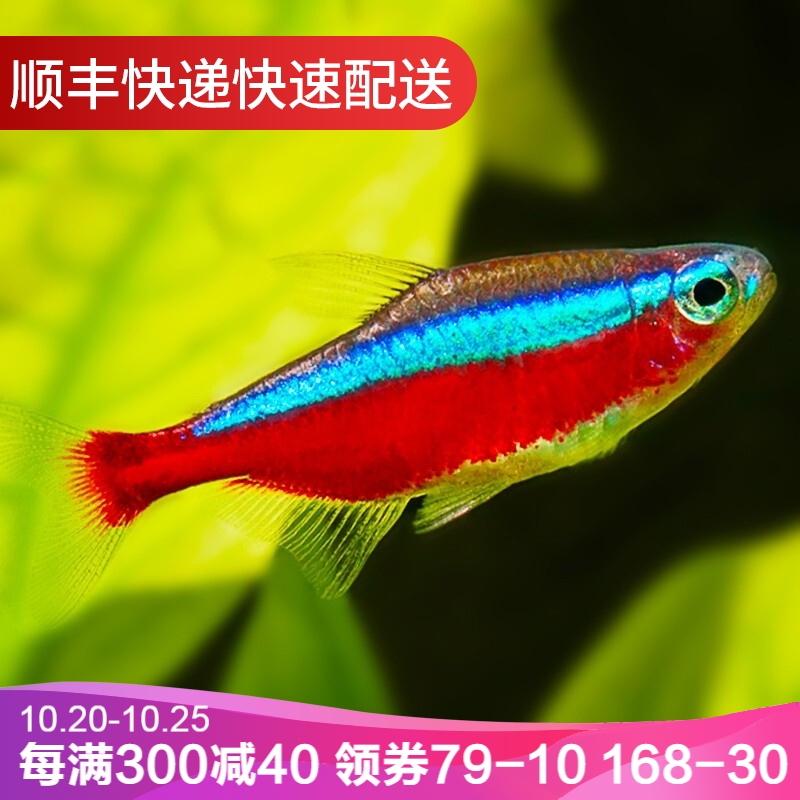 京东超市 2020-11-12 - 第9张 | 最新购物优惠券 京东超市 2020-11-12 - 第9张 | 最新购物优惠券