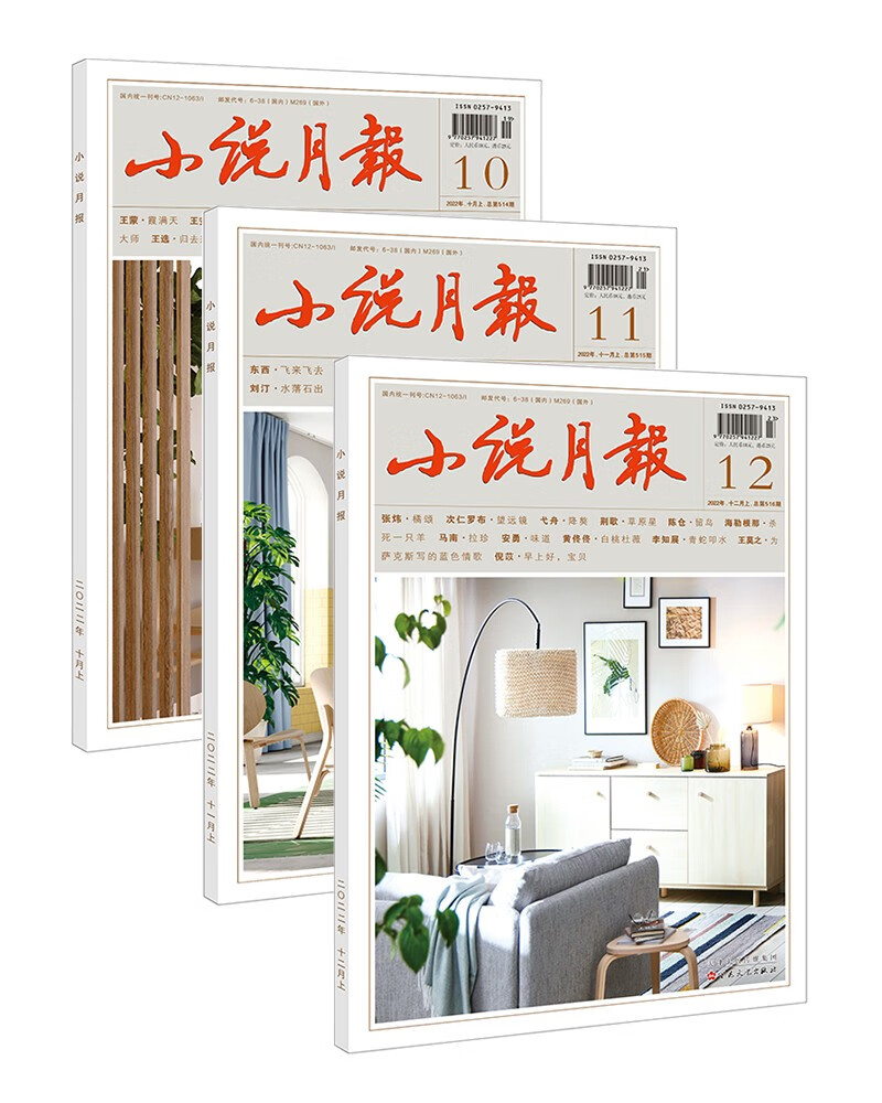 小说月报 杂志2022年10/11/12期打包