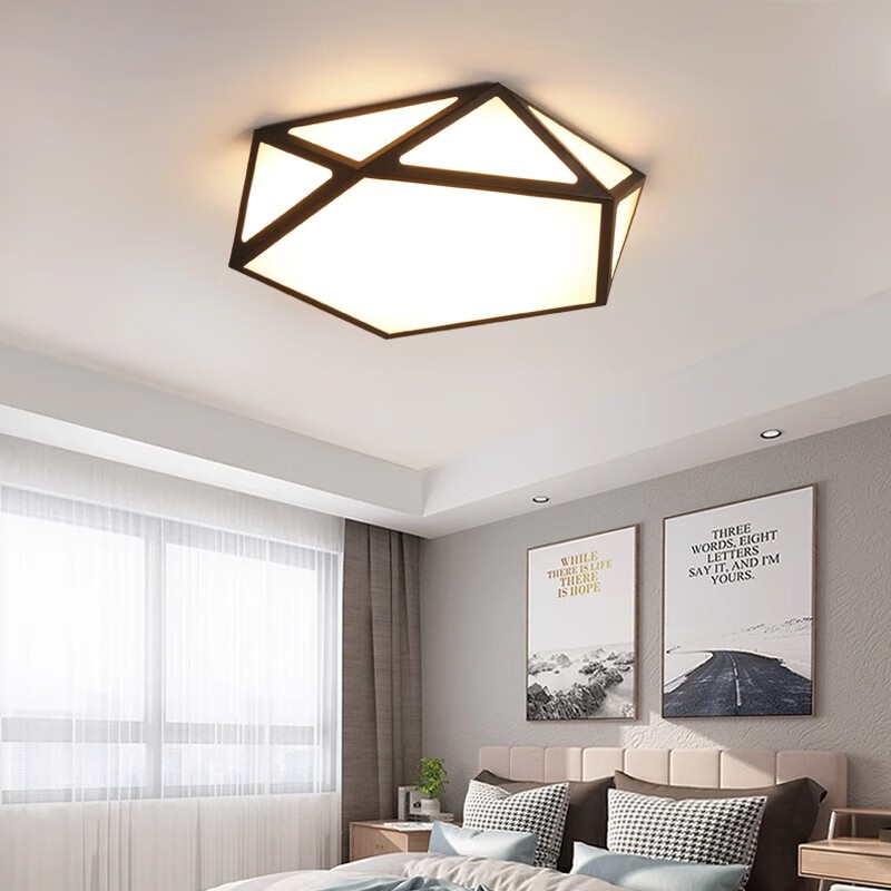 灯诺堡主卧室灯led吸顶灯大气客厅灯创意餐厅灯房间儿童灯灯具简约现代 黑色-60cm-白光