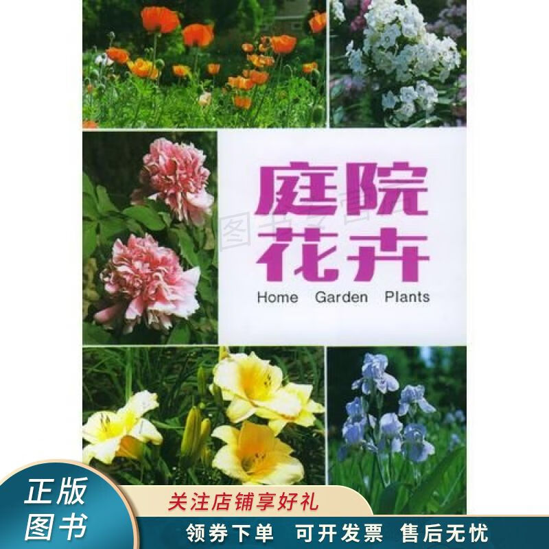 庭院花卉 臧淑英