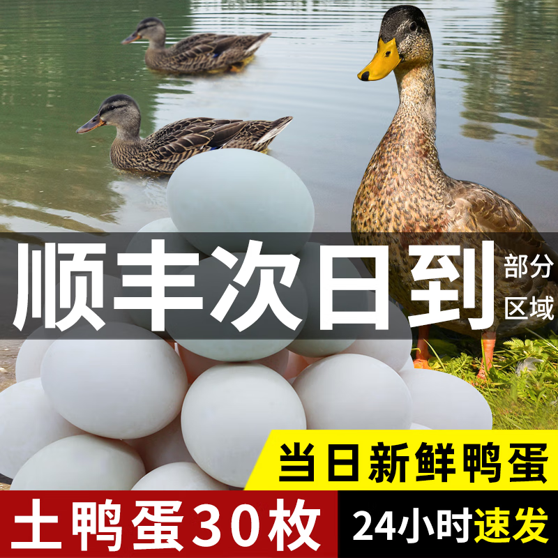 乡公馆鸭蛋新鲜30枚正宗农村散养土鸭蛋生鲜现捡现发单枚60g±整箱鸭子蛋 新鲜鲜鸭蛋60g/枚