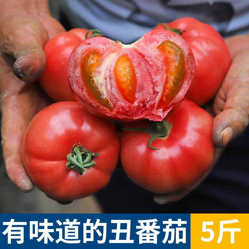 寻味君 丑西红柿 丑番茄生吃沙瓤酸甜自然熟 新鲜蔬菜 新鲜蔬菜*宓蝶