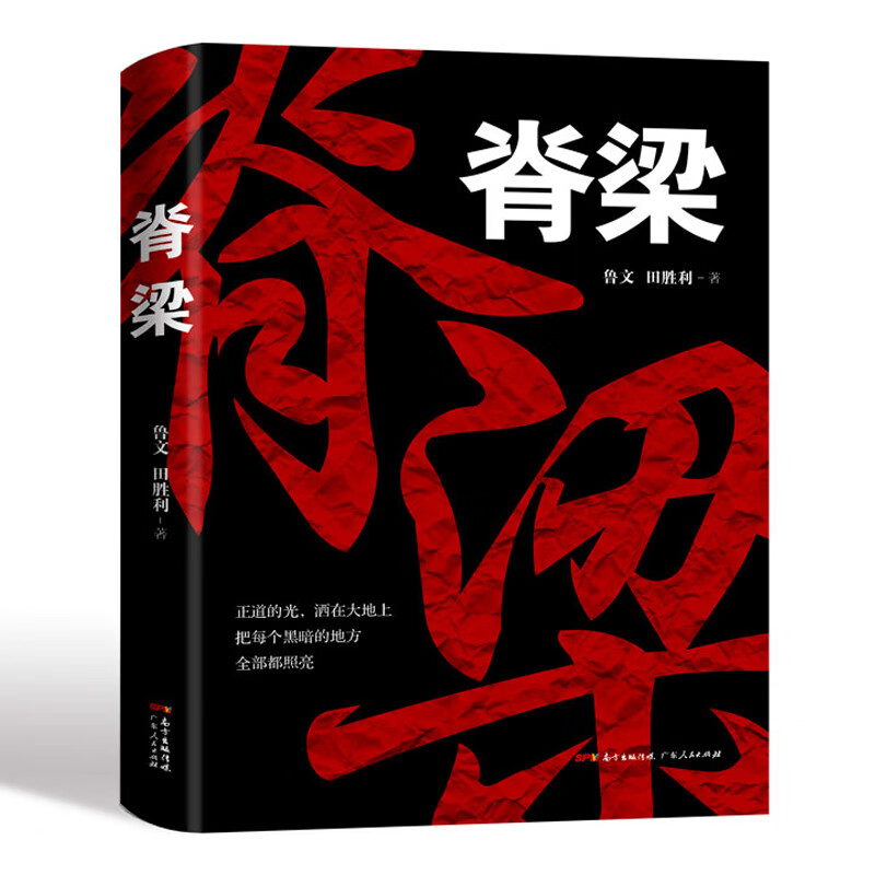 正版现货 脊梁小说 鲁文田胜利 正能量反腐官场小说 广东人民出版社 脊梁书 正道的光洒在大地上 电视剧脊梁小说怎么样,好用不?