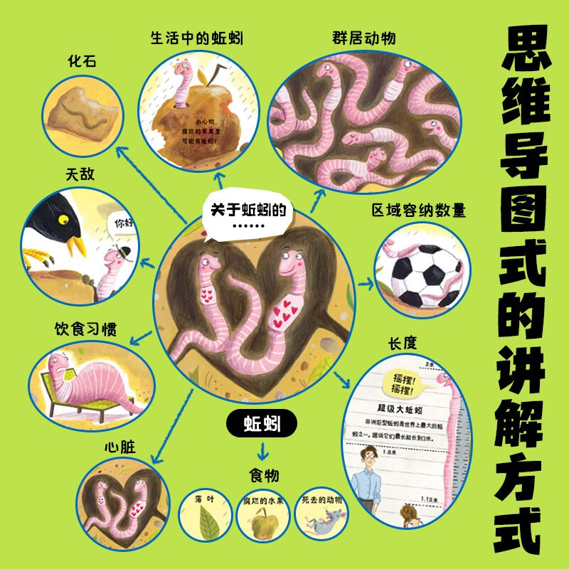 动物原来这么酷 点读版套装全3册 趣味动物科普知识详情图