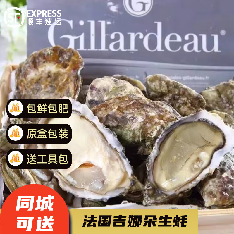 沢素湾 吉娜朵生蚝 gillardeau法国刺身级生蚝 空运鲜活即食牡蛎礼盒