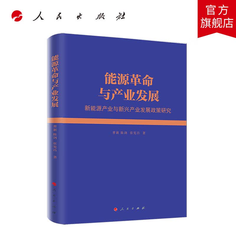能源革命与产业发展——新能源产业与新兴产业发展政策研究 人民出版社