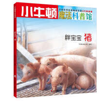 胖宝宝  猪