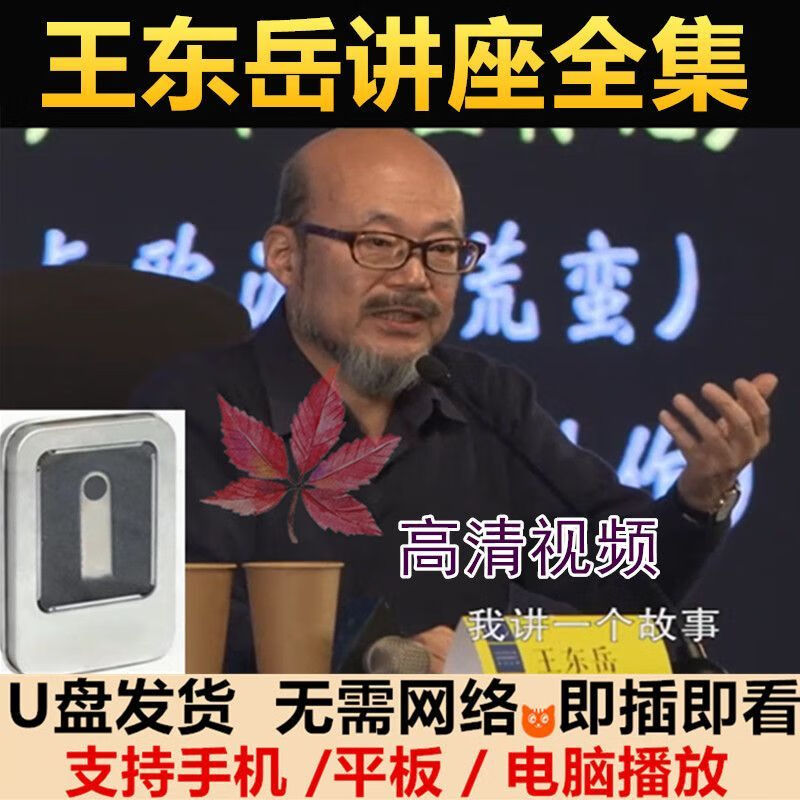 王东岳讲座全集视频u盘王东岳中西哲学启蒙课王东岳哲学讲座优盘