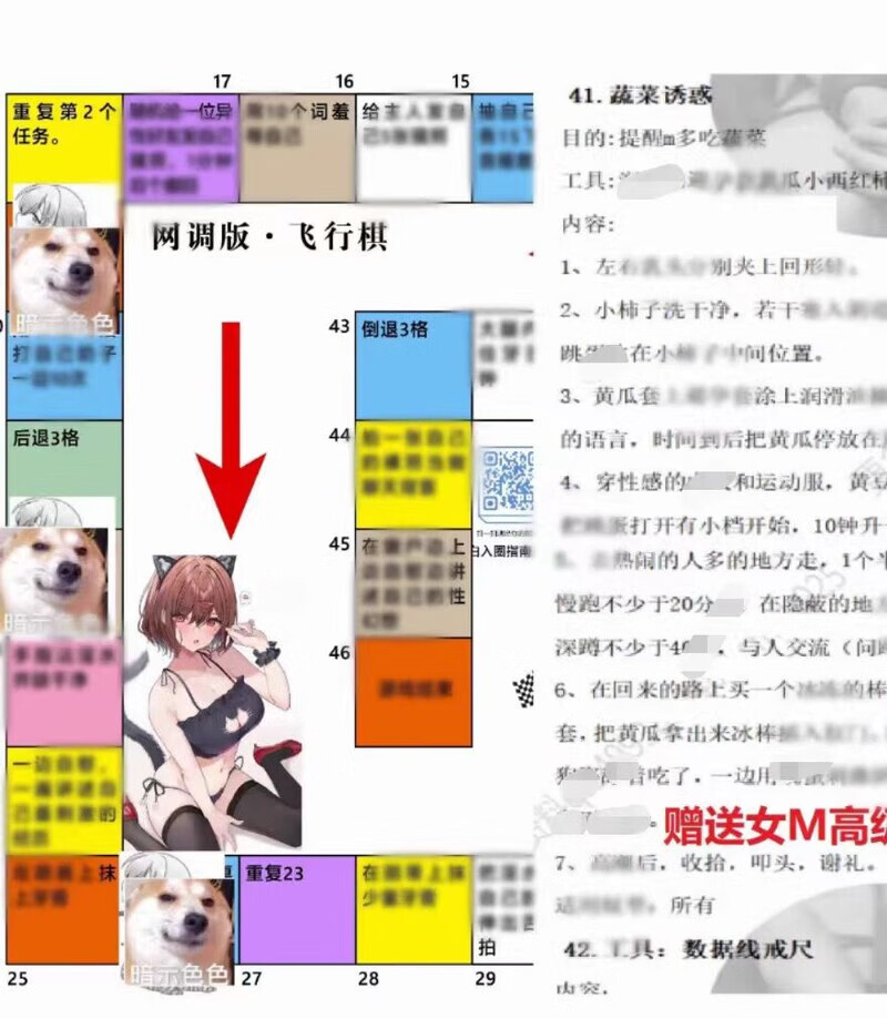 k9任务