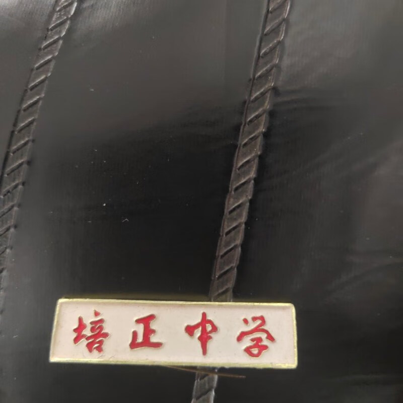 【绝版旧书】早期--广州培正中学校徽