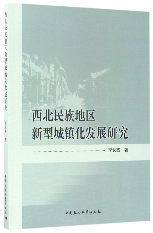 西北民族地区新型城镇化发展研究
