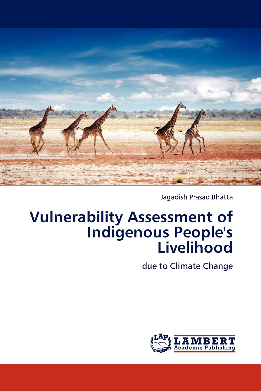【预售 按需印刷】vulnerability assessment of indigenous people s