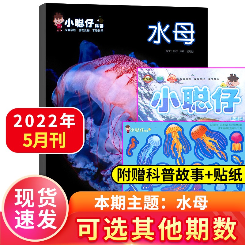 【新期到】小聪仔科普版杂志2022年【单本多期可选】幼儿益智兴趣智力开发低年级儿童科普百科自然探索奥秘非2021过期刊 2022年5月 水母