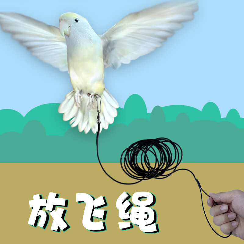 佩觉鹦鹉鸟用牵引弹力绳弹簧绳3米10米外出放飞绳轻巧脚环 3米 单绳