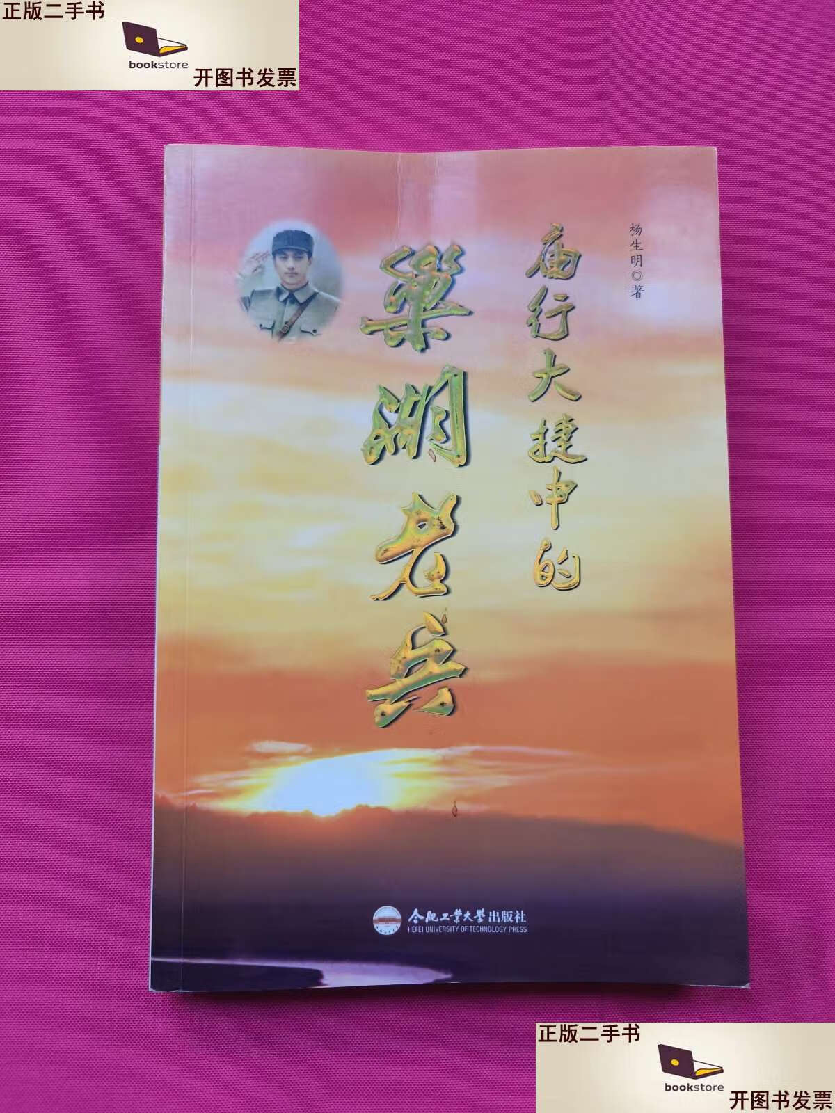 【二手9成新】庙行大捷中的巢湖老兵 /杨生明 合肥工业大学