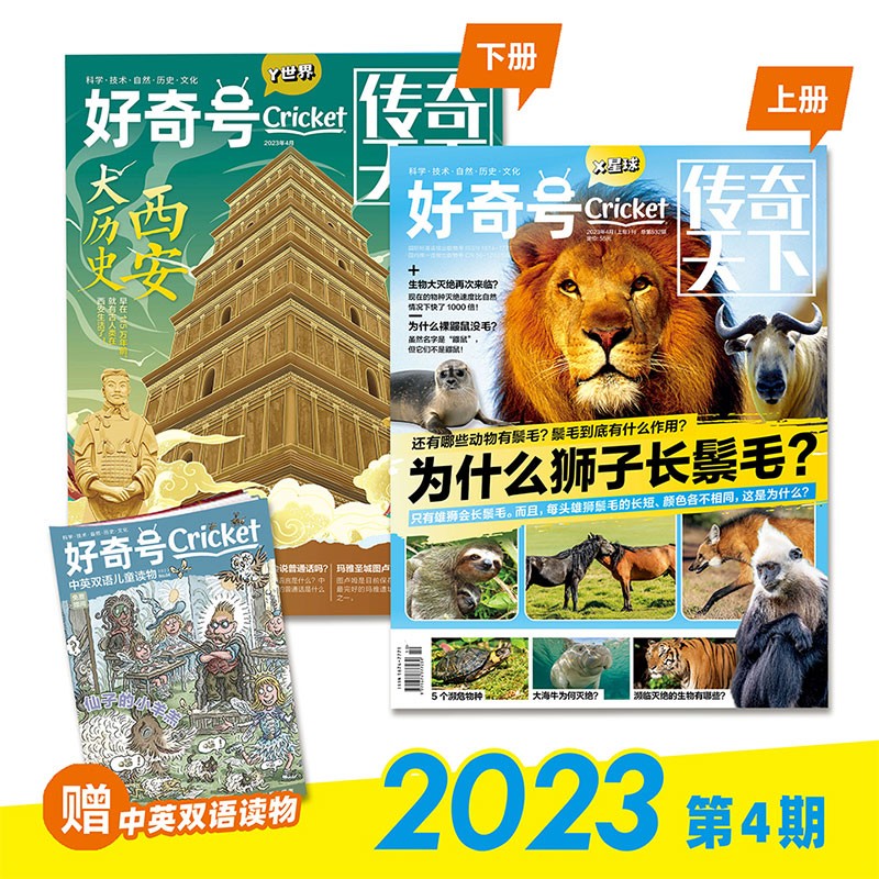 【2023年1-7月现货】好奇号 杂志2023年1/2/3/4/5/6/7期 打包 中文版美国Cricket Media期刊科学历史科普少儿科普杂志 中英双语 7-15岁 2023年4月【为什么狮子长