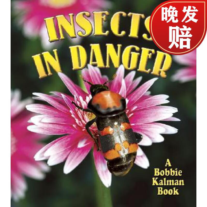 【4周达】insects in danger