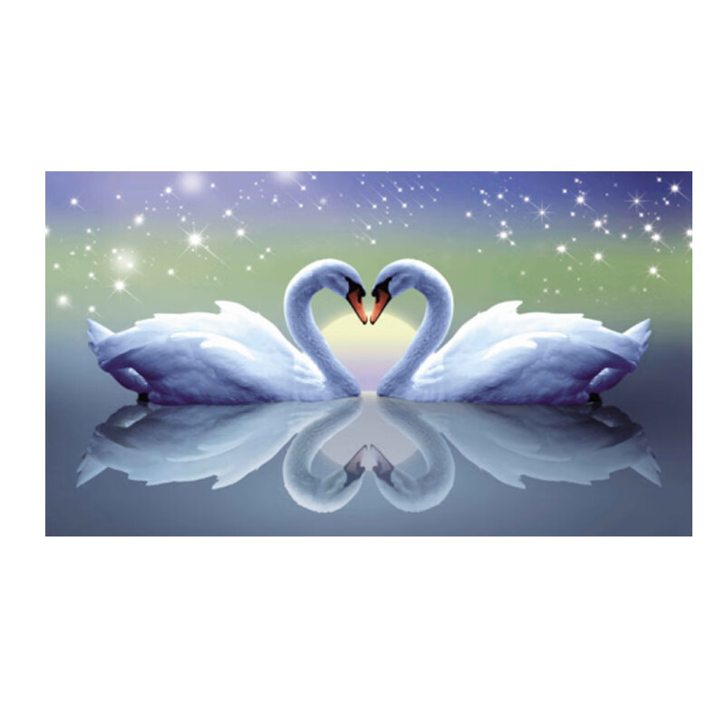 数字油画diy油彩画双天鹅恋儿童填色小尺寸治愈手工画画涂色填充 天鹅