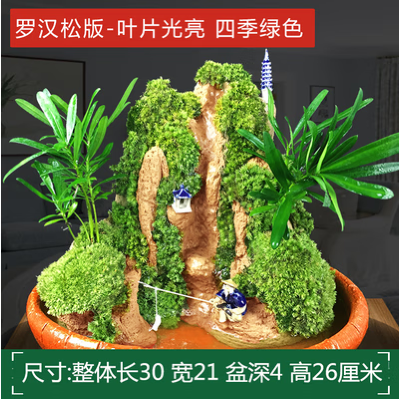萝塑吸水石盆景假山植物流水摆件家居上水石摆件雕刻石摆件 雕刻石摆
