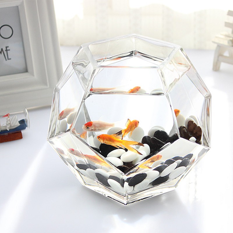slpc小鱼缸创意水族箱多面体迷你鱼缸桌面斗鱼缸玻璃鱼缸热带鱼金鱼缸