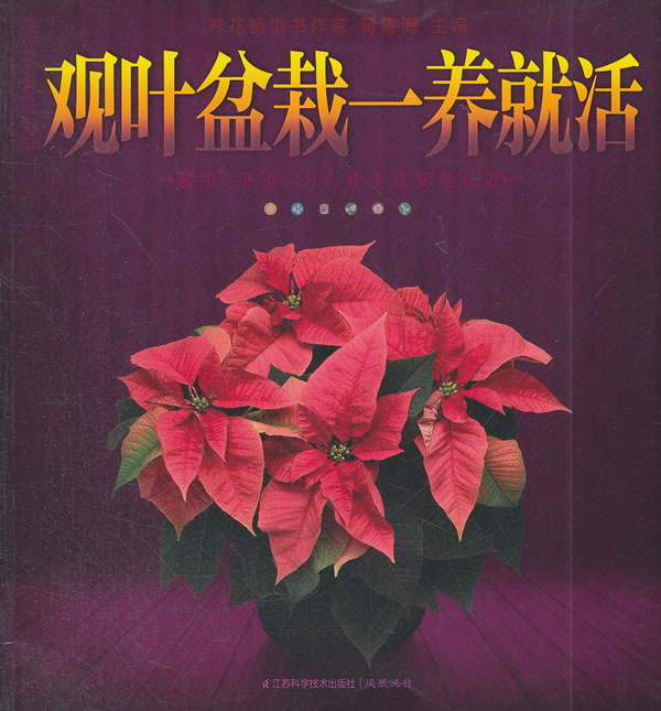 观叶盆栽一养就活