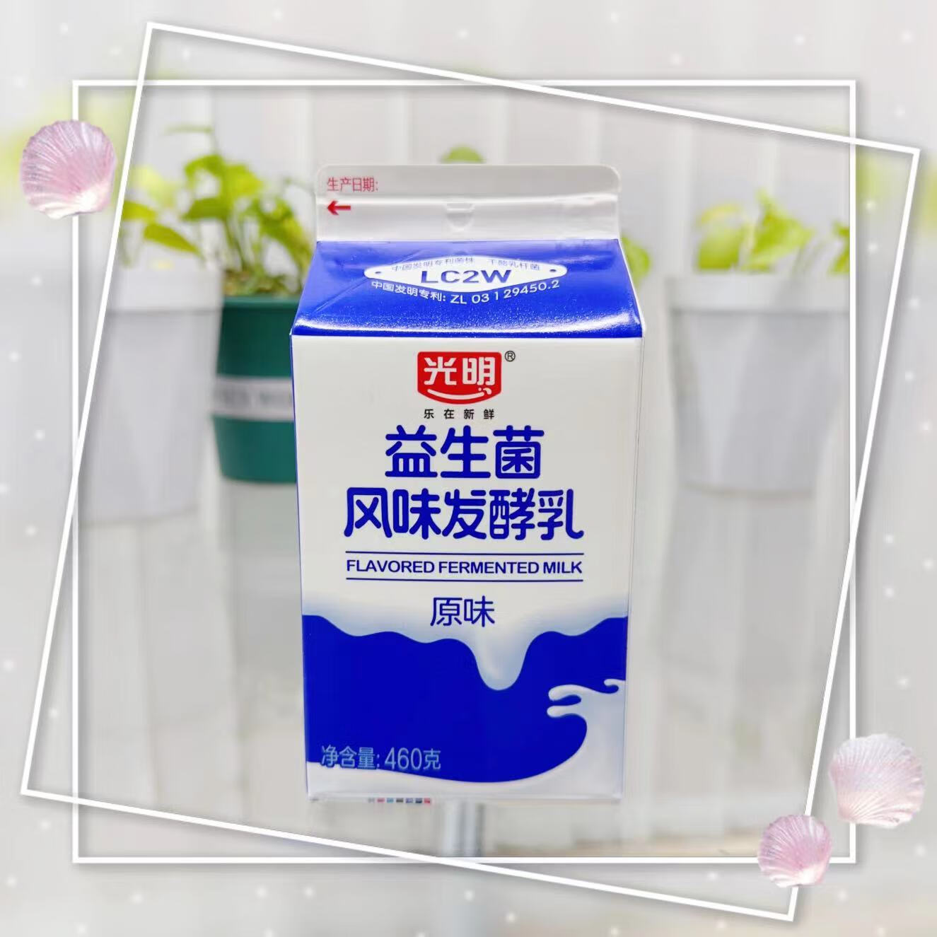 光明酸奶益生菌风味原味发酵乳酸菌低温酸牛奶饮品饮料酒店餐饮 光明