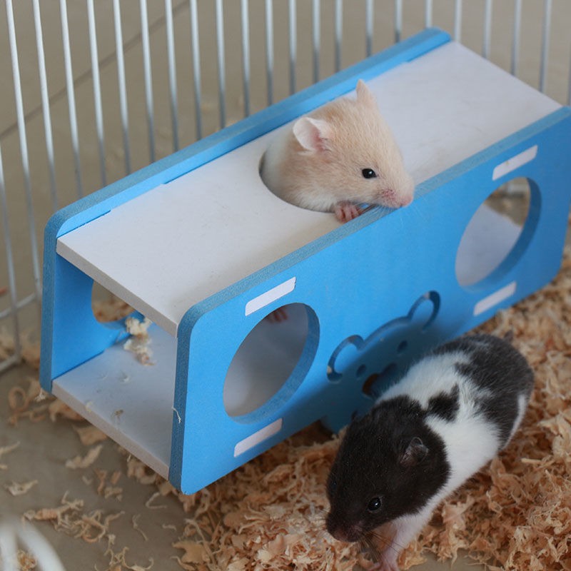 麦叮卡 宠物仓鼠活物小仓鼠幼崽活体仓鼠宝宝金丝熊苍鼠 金丝熊 奶牛