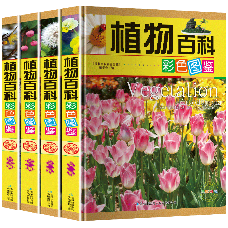 植物百科（套装共4册 彩色图鉴）