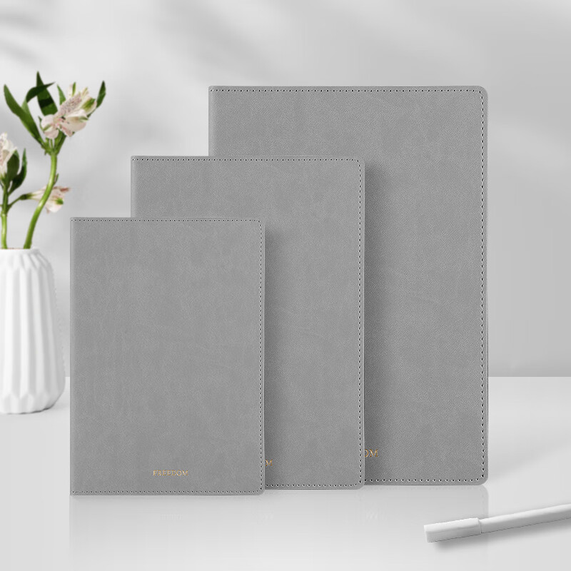 申士(shen shi) b5 莫兰迪色系小清新笔记本子 学生文具软面记事本