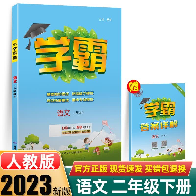 2023春小学学霸语文二年级下册部编人教版RJ版2下小学课本教材同步练习册一课一练天天练