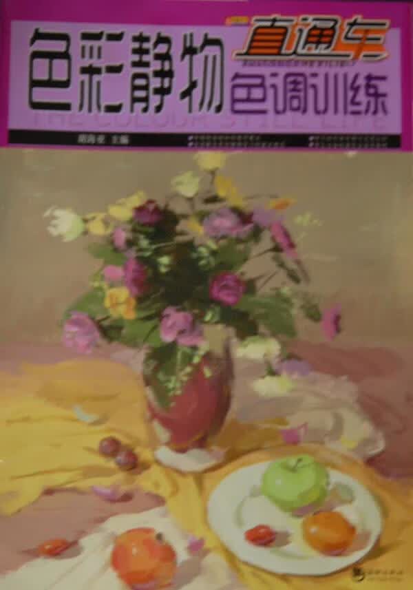 色彩静物色调训练 胡海亚 绘画 9787515704197