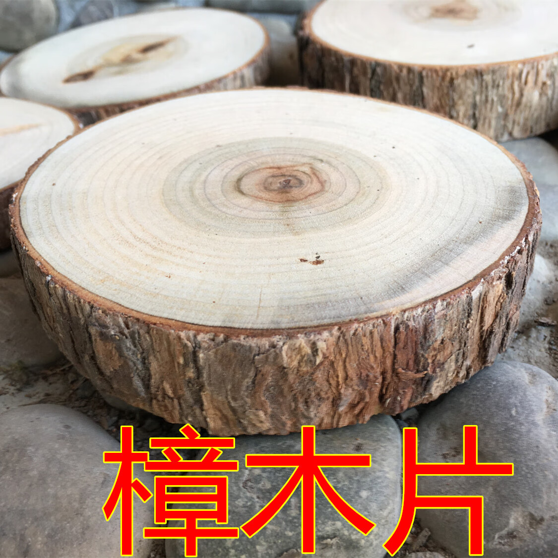 定制橡木片圓帶皮原木樟樹塊樹衣柜防蟲樟木底座杯墊DIY背景墻 直徑8到0厚厘米5個 帶皮樟木定制