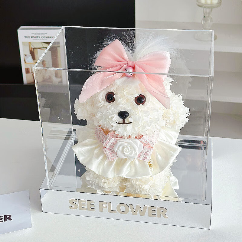 从舒(congshu)马尔济斯永生花绣球狗永生花马尔济斯犬线条小狗比熊