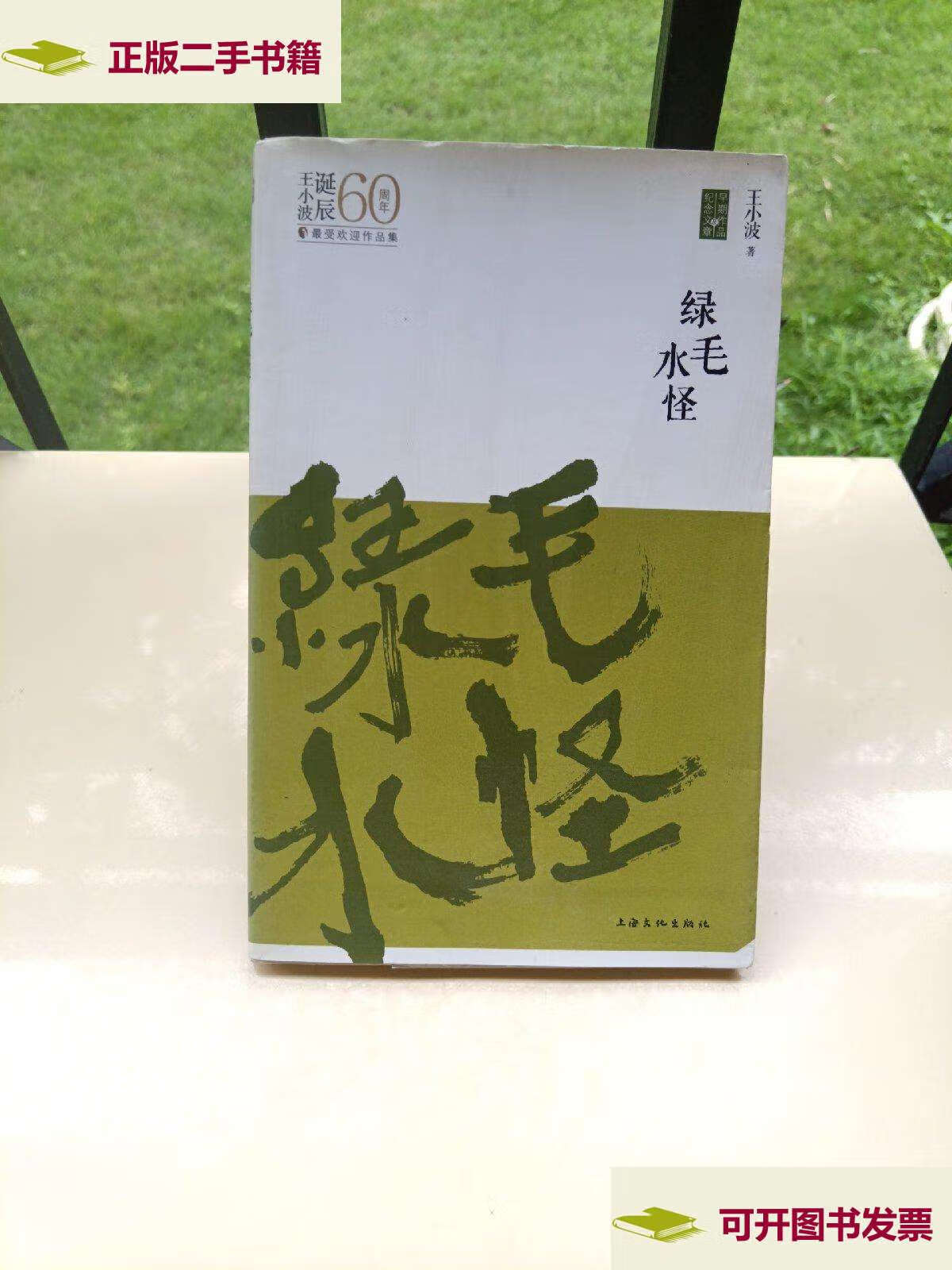 【二手9成新】绿毛水怪 /王小波 上海文化