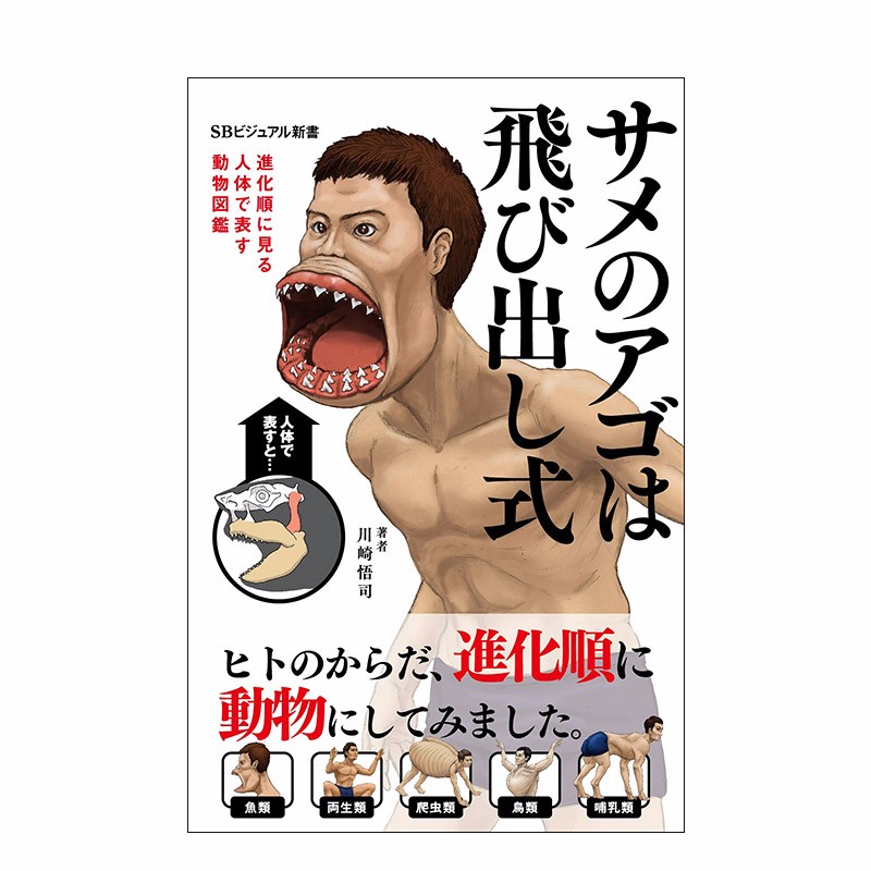 【现货】用人体进化顺序来表现动物的图鉴 サメのアゴは飛び出し式