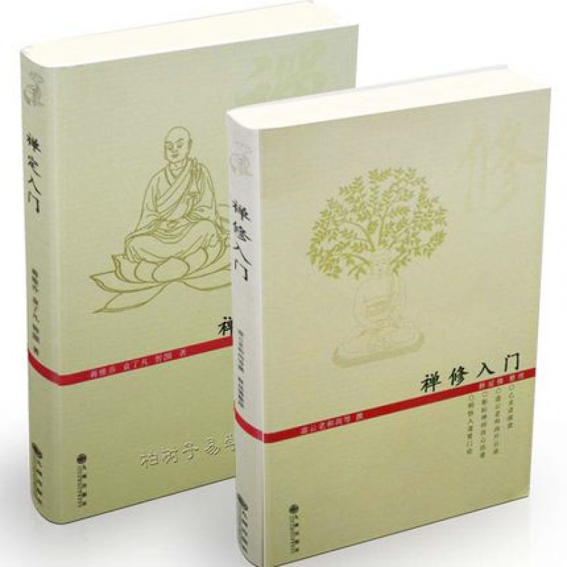 禅修入门 禅定入门 跟虚云大师学参禅/虚云大师 静坐 佛教书籍hm