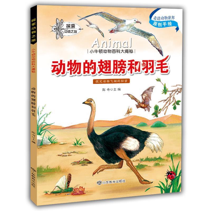 动物的翅膀和羽毛