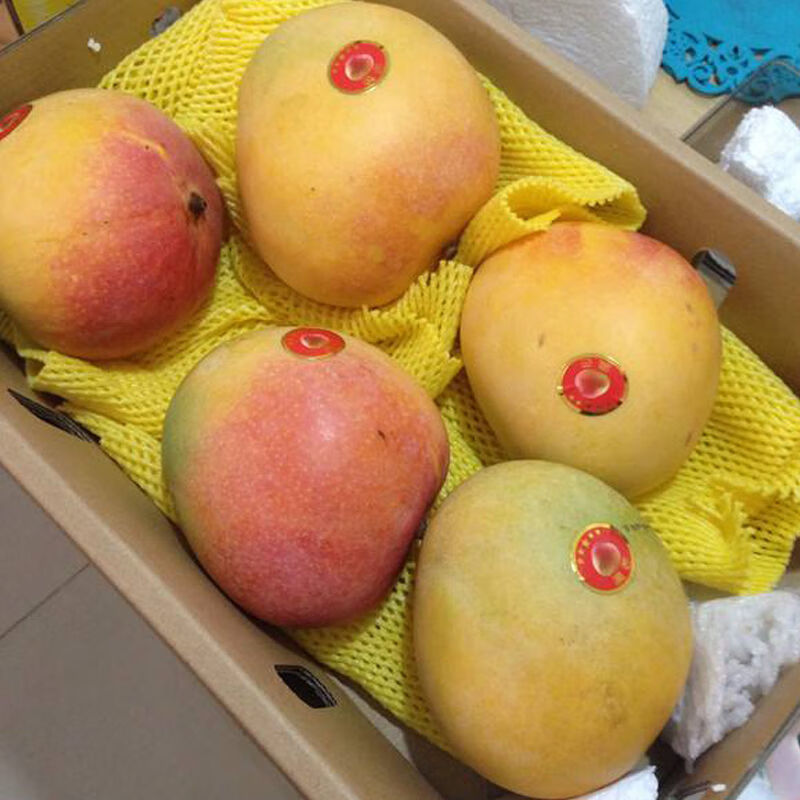 海南澳芒 (现摘现发 锁鲜到家)新鲜当季热带水果礼盒装特产整箱 礼盒