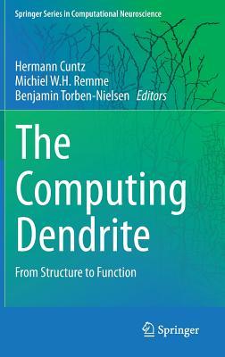 预订the computing dendrite: from structure to functi