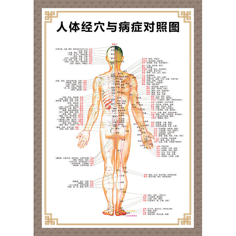 人体穴位图 全身图 中医针灸艾灸拔罐养生十二经络穴位海报大挂图
