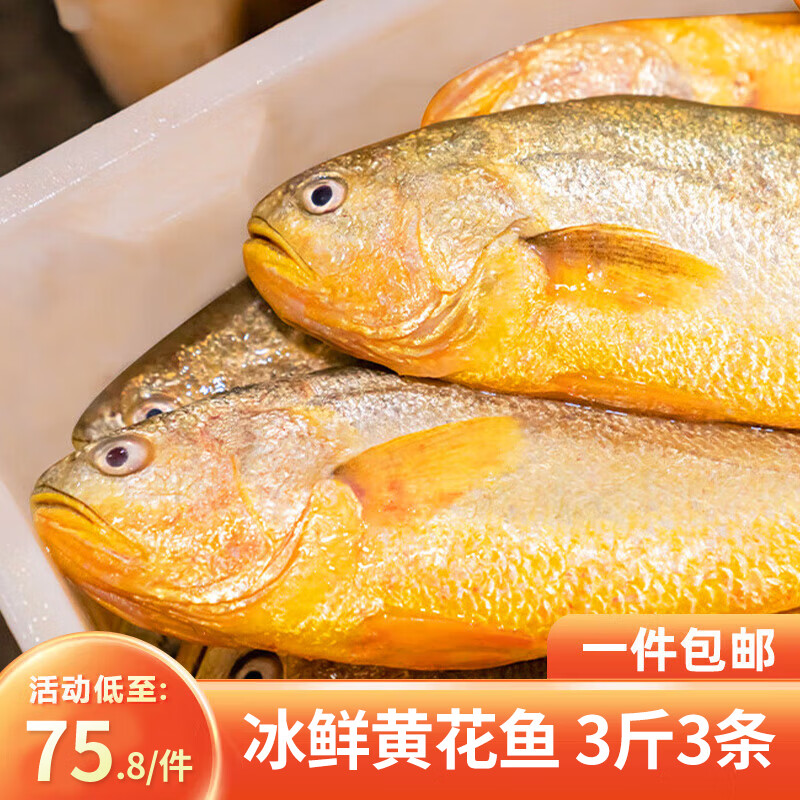 鸿顺【冰鲜】黄花鱼3条3斤 生鲜鱼类 宁德大黄鱼 源头直发
