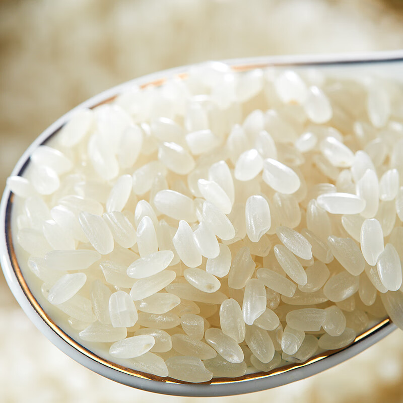 金鹤 东北大米长粒香米 黑龙江粳米鹤乡长粒王 真空包装 10kg