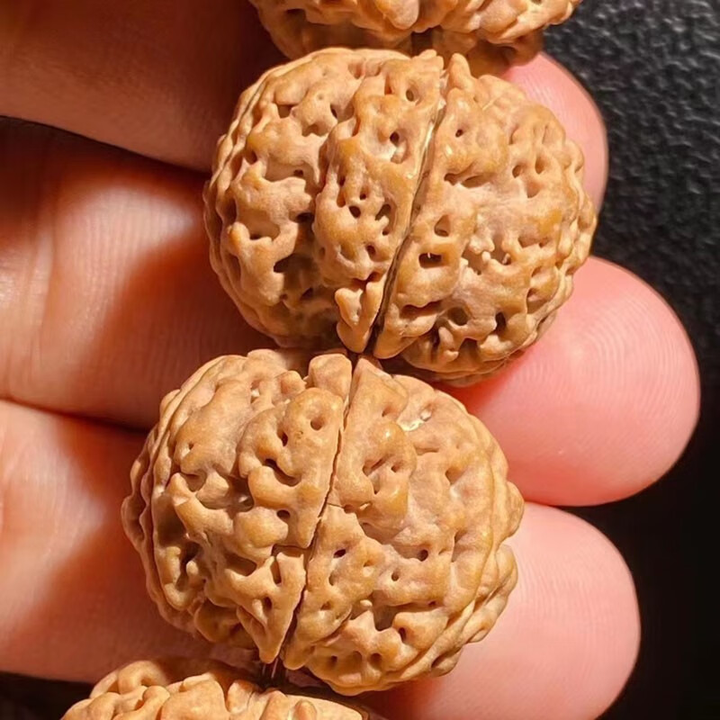 慕木阁正宗六瓣尼泊尔大金刚菩提子手串满肉原籽佛珠男女文玩 mg186 【收藏级约23毫米】联系客服看实物 【六瓣】