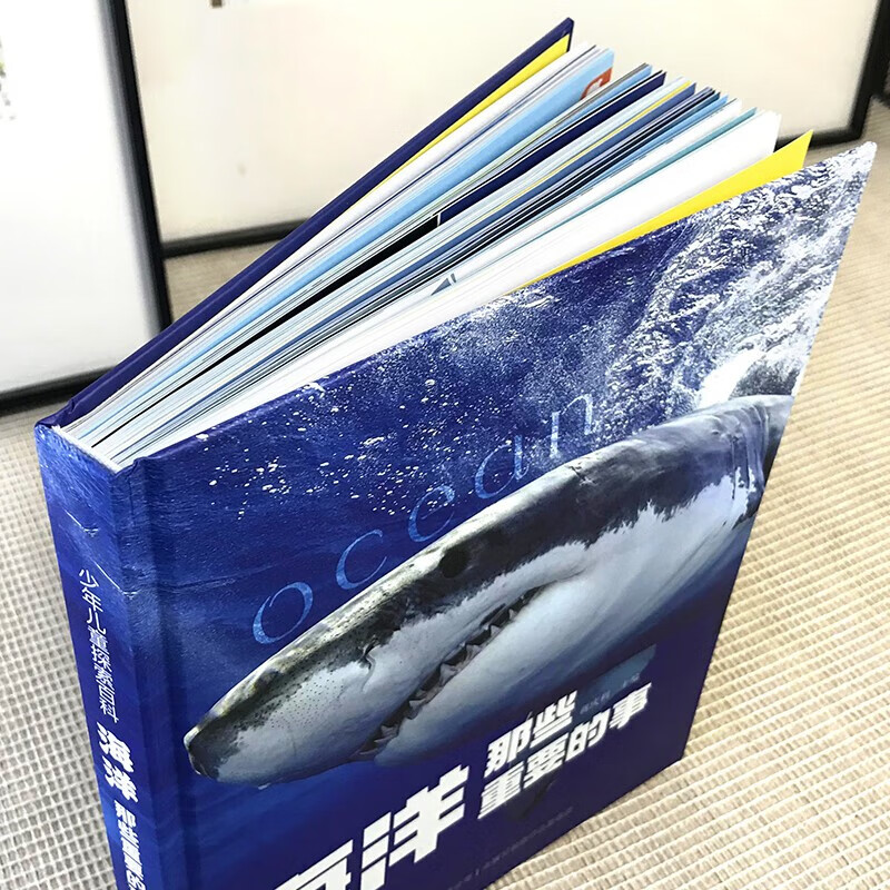 海洋那些重要的事（精装）有趣海洋知识神秘莫测海底世界千奇百怪海洋生物 少年儿童探索百科全书详情图