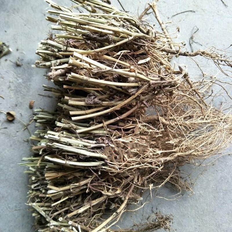 有仁堂花生根 茎杆梗花生的根农家自产花生 500克